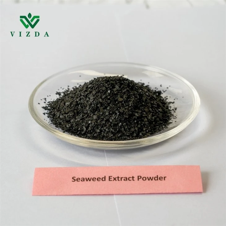 Marine Plant Nutrients Seaweed Extract