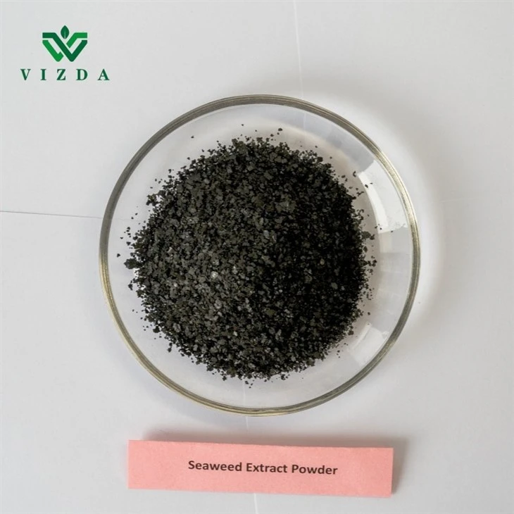 Marine Plant Nutrients Seaweed Extract