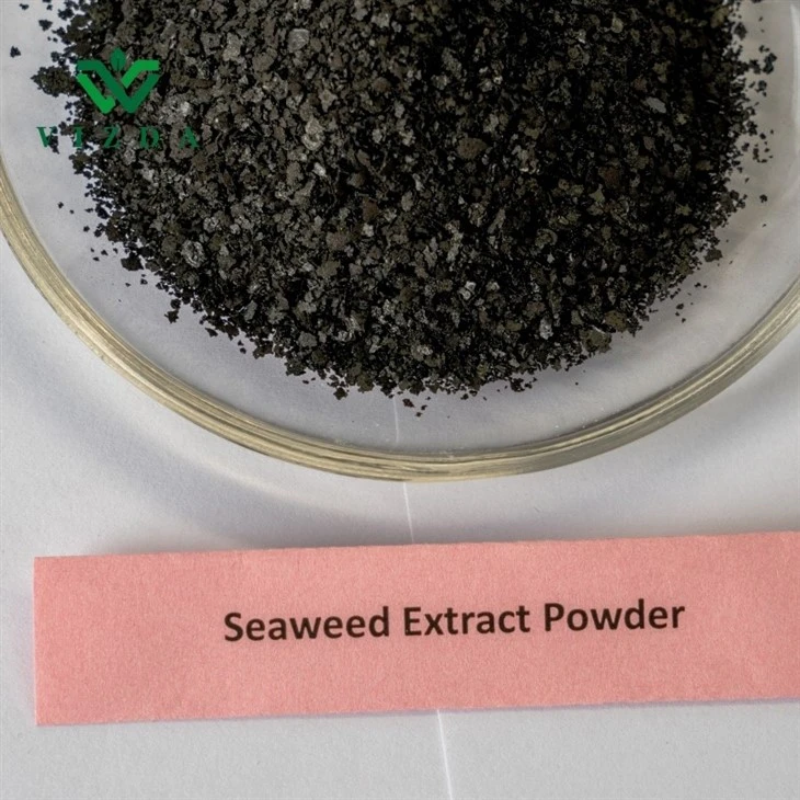 Marine Plant Nutrients Seaweed Extract