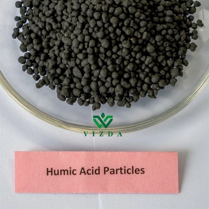 Sustainable Agriculture Humic Acid