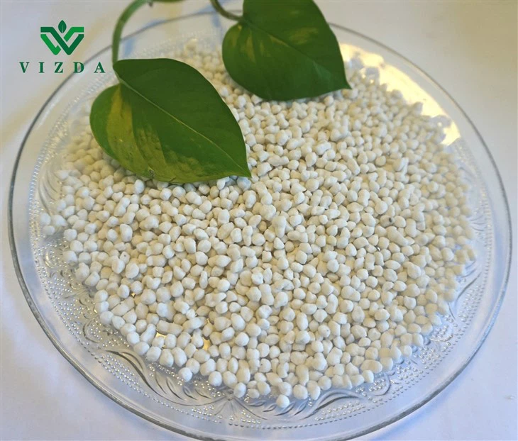 Use Of Nitrogen Fertilizers in Agriculture