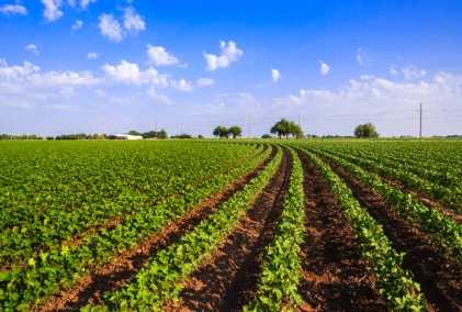 info-421-284 info-421-284