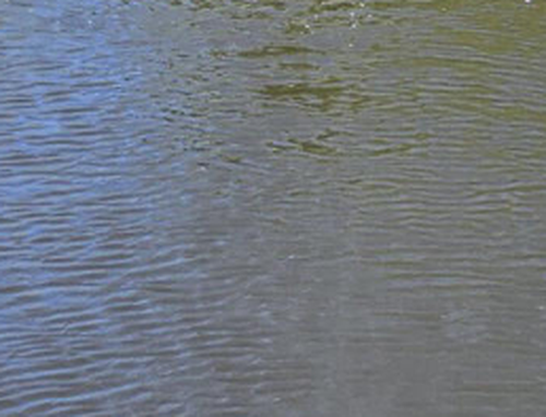 Drone oʻrnatilgan{0}}Lab monitorlari real vaqtda oʻgʻit oqimi