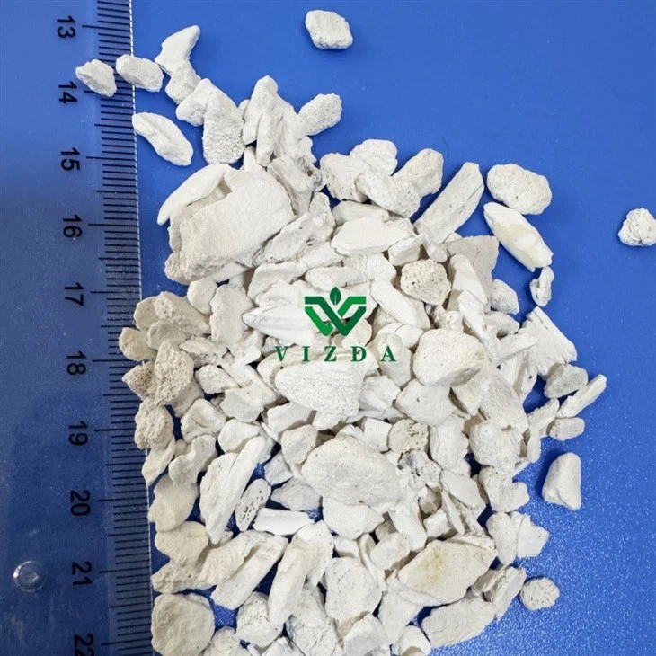 b4a00c609f3acf014a99beece7a6fa5